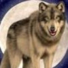 建筑猎头顾问张斌个人信息_三幸网