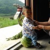 建筑猎头顾问文沧海个人信息_三幸网