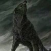 建筑猎头顾问刘先生个人信息_三幸网