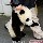 建筑猎头顾问刘航个人信息_三幸网