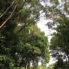 建筑猎头顾问苟工个人信息_三幸网