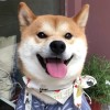 建筑猎头顾问刘斌个人信息_三幸网