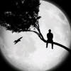 建筑猎头顾问周军明个人信息_三幸网