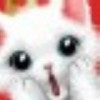 建筑猎头顾问王老师个人信息_三幸网