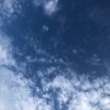 建筑猎头顾问yangyang个人信息_三幸网