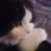 建筑猎头顾问王毅个人信息_三幸网