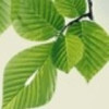 建筑猎头顾问陈工个人信息_三幸网