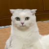 建筑猎头顾问闫先生个人信息_三幸网