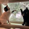 建筑猎头顾问小周个人信息_三幸网
