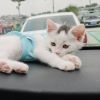 建筑猎头顾问张工个人信息_三幸网