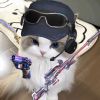 建筑猎头顾问张经理个人信息_三幸网