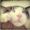 建筑猎头顾问郭小姐个人信息_三幸网