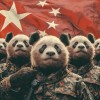 建筑猎头顾问谢昌辰个人信息_三幸网
