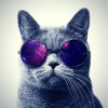 建筑猎头顾问张斌个人信息_三幸网