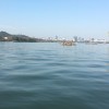 建筑猎头顾问赵建军个人信息_三幸网