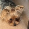 建筑猎头顾问张博翰个人信息_三幸网