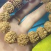 建筑猎头顾问小李个人信息_三幸网