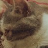 建筑猎头顾问曾工个人信息_三幸网