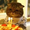 建筑猎头顾问高飞个人信息_三幸网