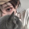 建筑猎头顾问谢月娥个人信息_三幸网