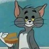 建筑猎头顾问杨聪华个人信息_三幸网