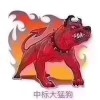 建筑猎头顾问洪俊个人信息_三幸网