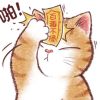 建筑猎头顾问倪华宁个人信息_三幸网