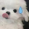 建筑猎头顾问兰钰清个人信息_三幸网
