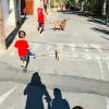 建筑猎头顾问刘鑫个人信息_三幸网