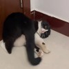 建筑猎头顾问朱经理个人信息_三幸网