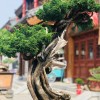 建筑猎头顾问刘先生个人信息_三幸网