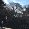建筑猎头顾问许美珍个人信息_三幸网