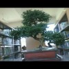 建筑猎头顾问周金邦个人信息_三幸网
