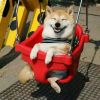 建筑猎头顾问王老师个人信息_三幸网