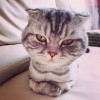 建筑猎头顾问李晓光个人信息_三幸网