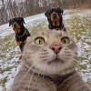 建筑猎头顾问黄硕成个人信息_三幸网