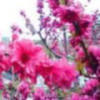 建筑猎头顾问郭经理个人信息_三幸网