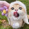 建筑猎头顾问l李志斌个人信息_三幸网