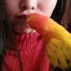 建筑猎头顾问谢莹个人信息_三幸网