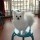 建筑猎头顾问肖斌个人信息_三幸网