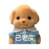 建筑猎头顾问付天宇个人信息_三幸网