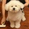 建筑猎头顾问张金坤个人信息_三幸网