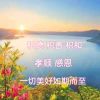 建筑猎头顾问杨惠红个人信息_三幸网