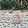 建筑猎头顾问何工个人信息_三幸网