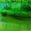 建筑猎头顾问史明亮个人信息_三幸网
