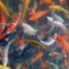 建筑猎头顾问王个人信息_三幸网
