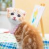 建筑猎头顾问王立新个人信息_三幸网