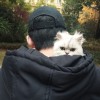 建筑猎头顾问程牧村个人信息_三幸网