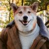 建筑猎头顾问李汉文个人信息_三幸网