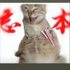 建筑猎头顾问万工个人信息_三幸网